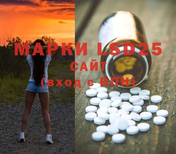 ПСИЛОЦИБИНОВЫЕ ГРИБЫ Белоозёрский