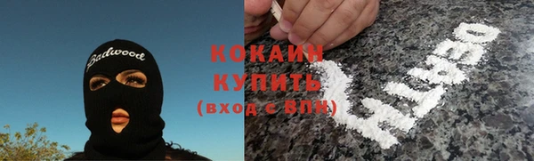тгк Богданович