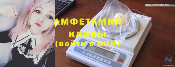 дживик Белокуриха
