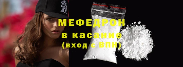 гидра Богородицк