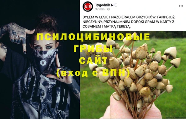 ПСИЛОЦИБИНОВЫЕ ГРИБЫ Белоозёрский