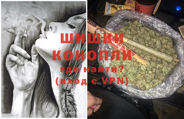 дживик Белокуриха