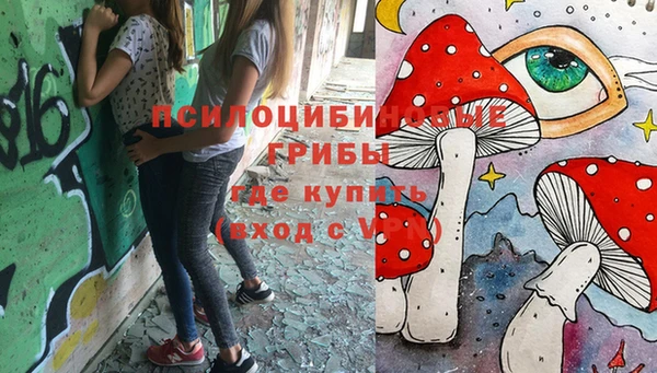 ПСИЛОЦИБИНОВЫЕ ГРИБЫ Белоозёрский
