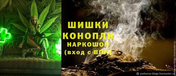 гидра Богородицк