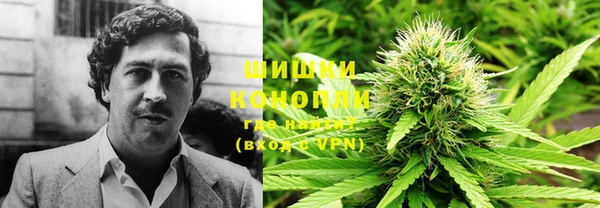 дживик Белокуриха