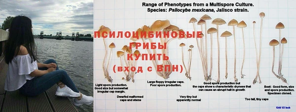 мяу мяу мука Богородск