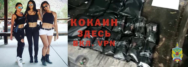 гидра Богородицк